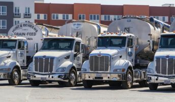 A row of trucks
