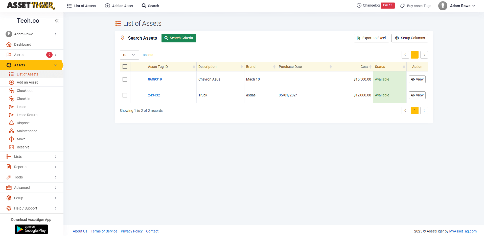 Asset Tiger's sortable asset list lets users input key data on each asset.